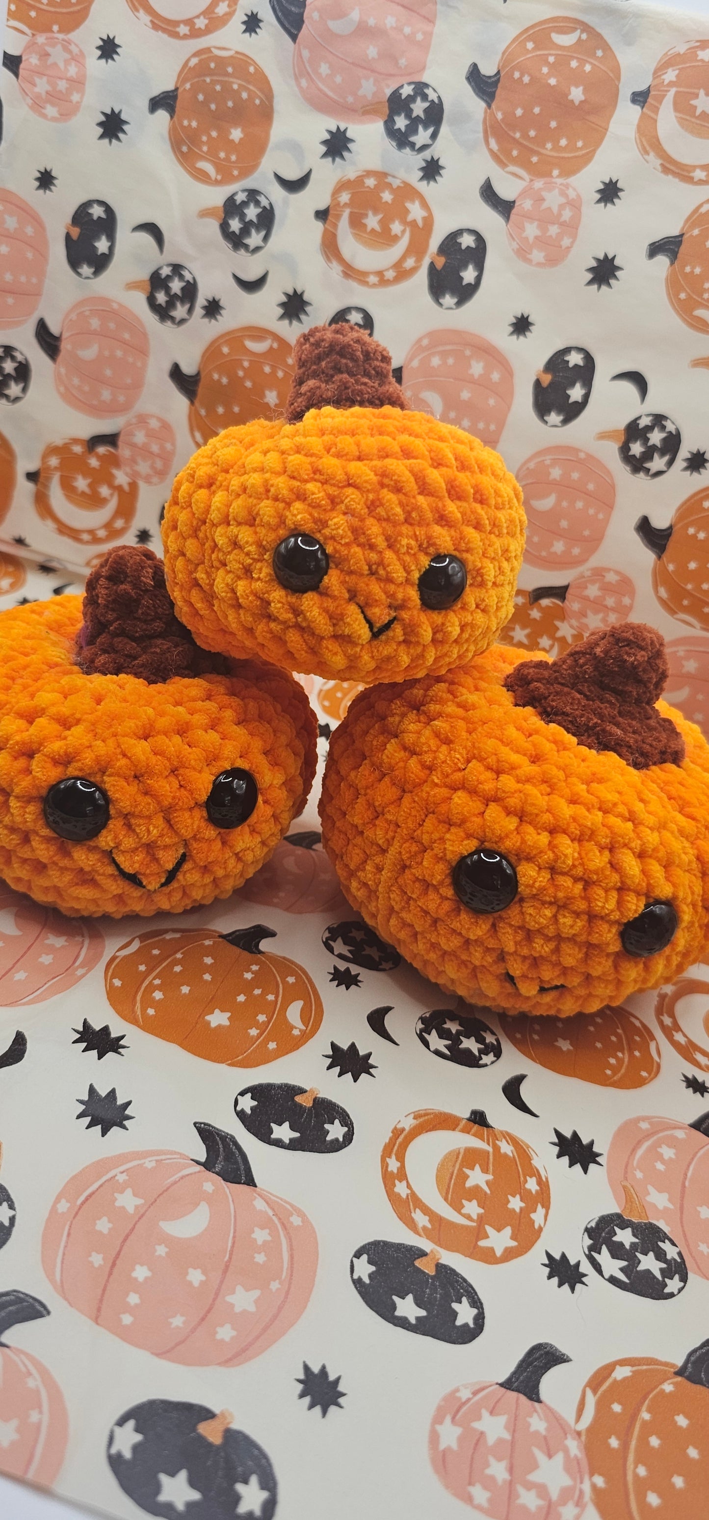 Kürbisse 🎃 in Orange