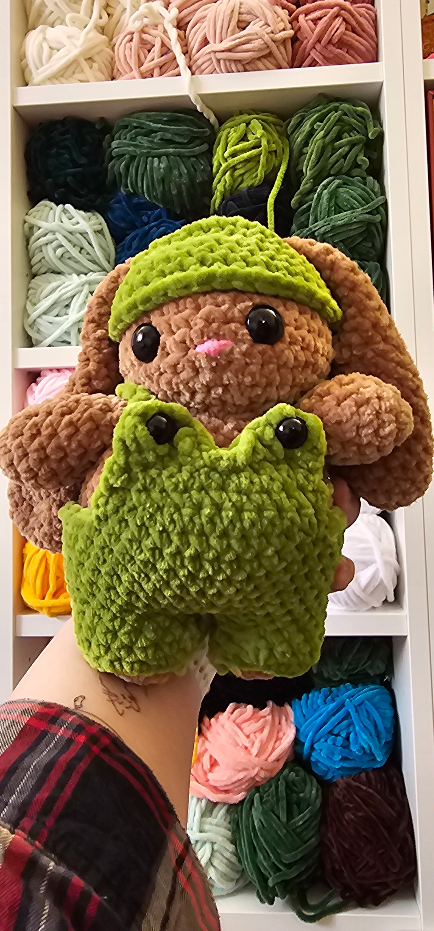 Bunny in a costum