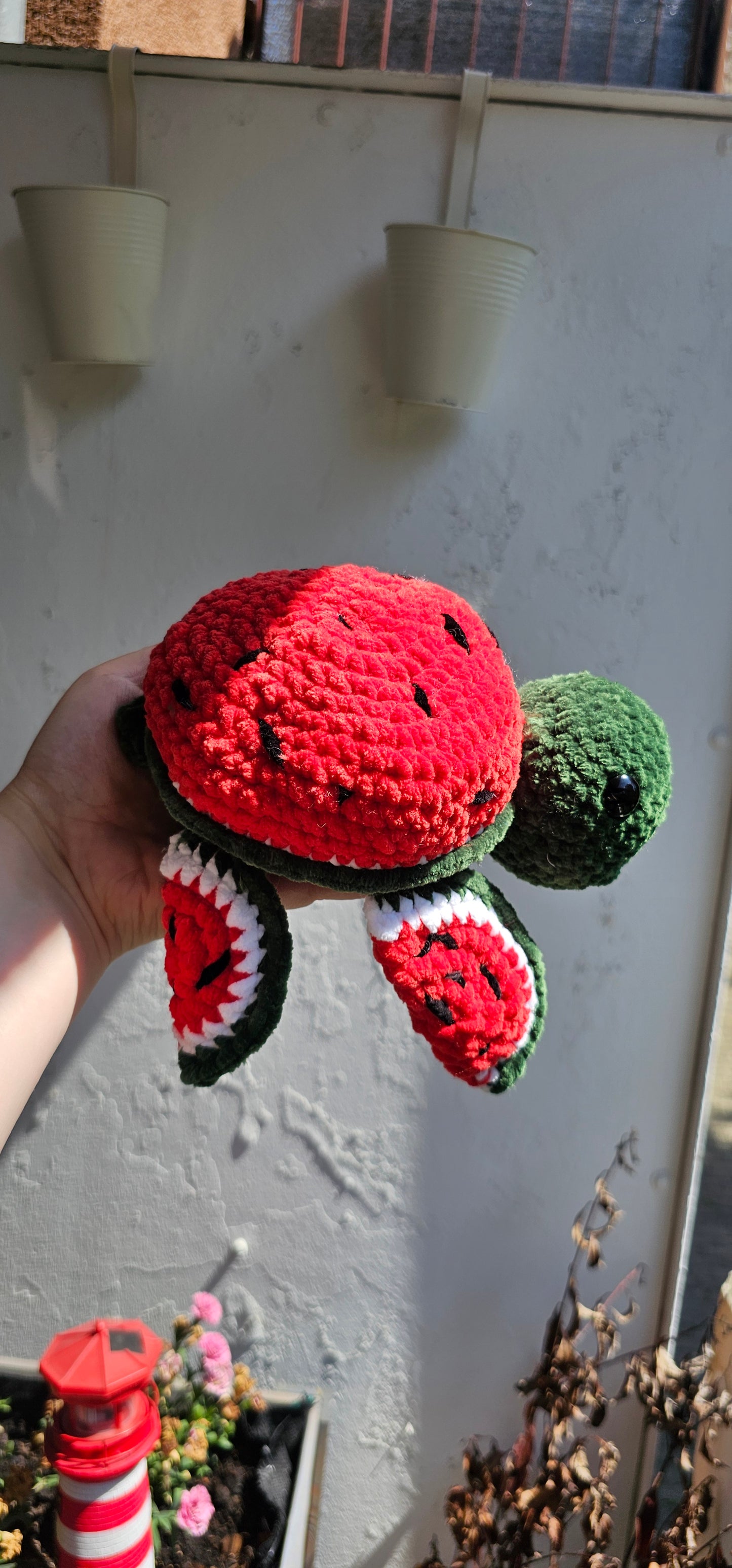 Frucht Schildkröte 🐢