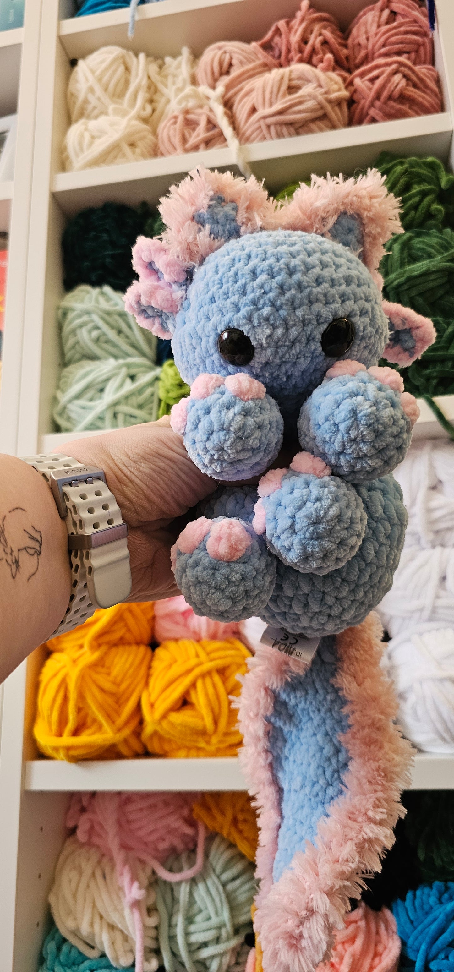 Axolotl Kitty