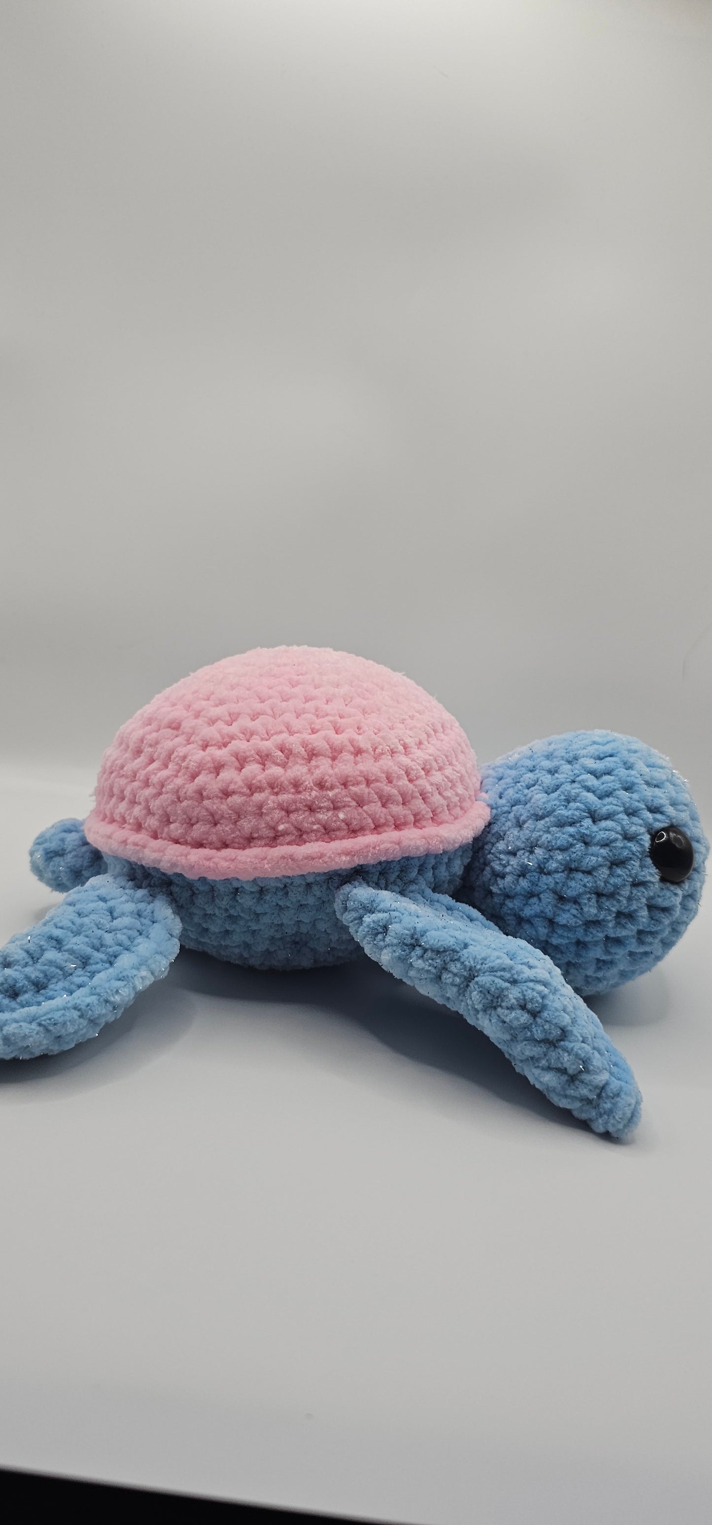 Schildkröte