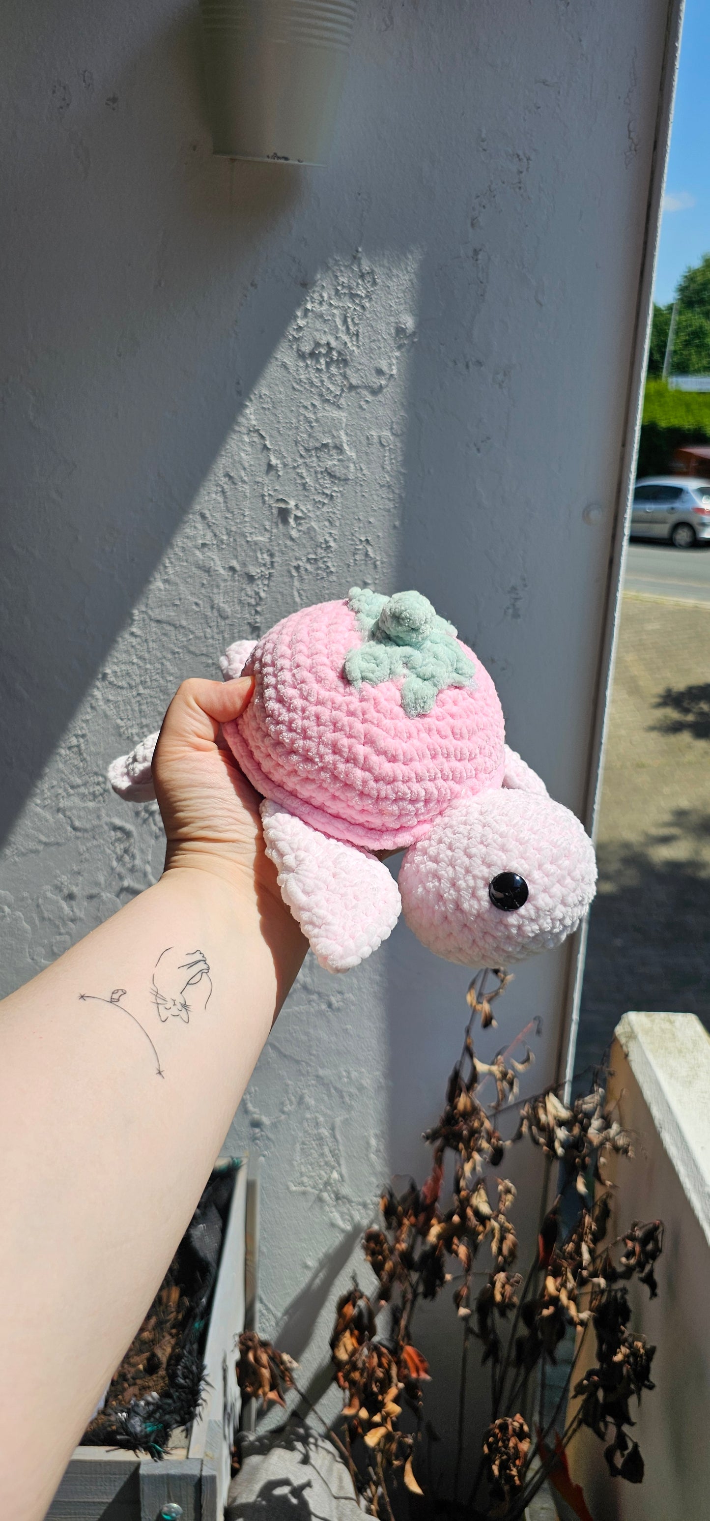 Frucht Schildkröte 🐢