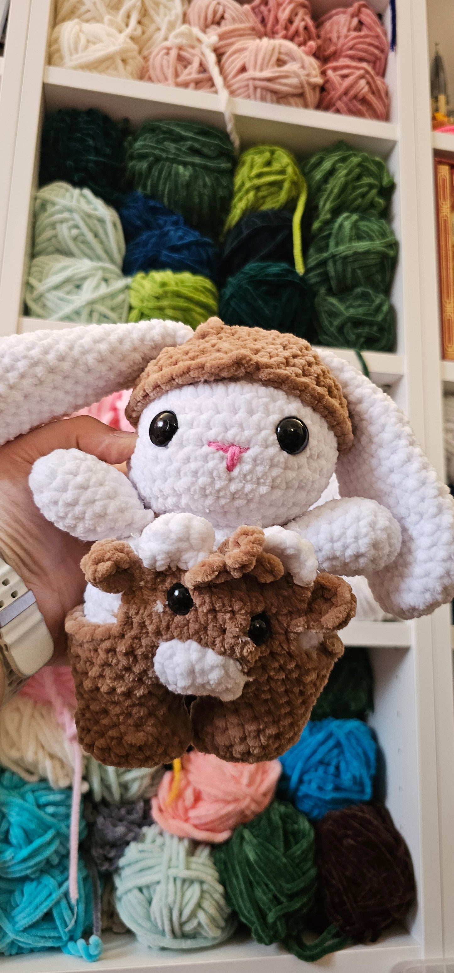 Bunny in a costum