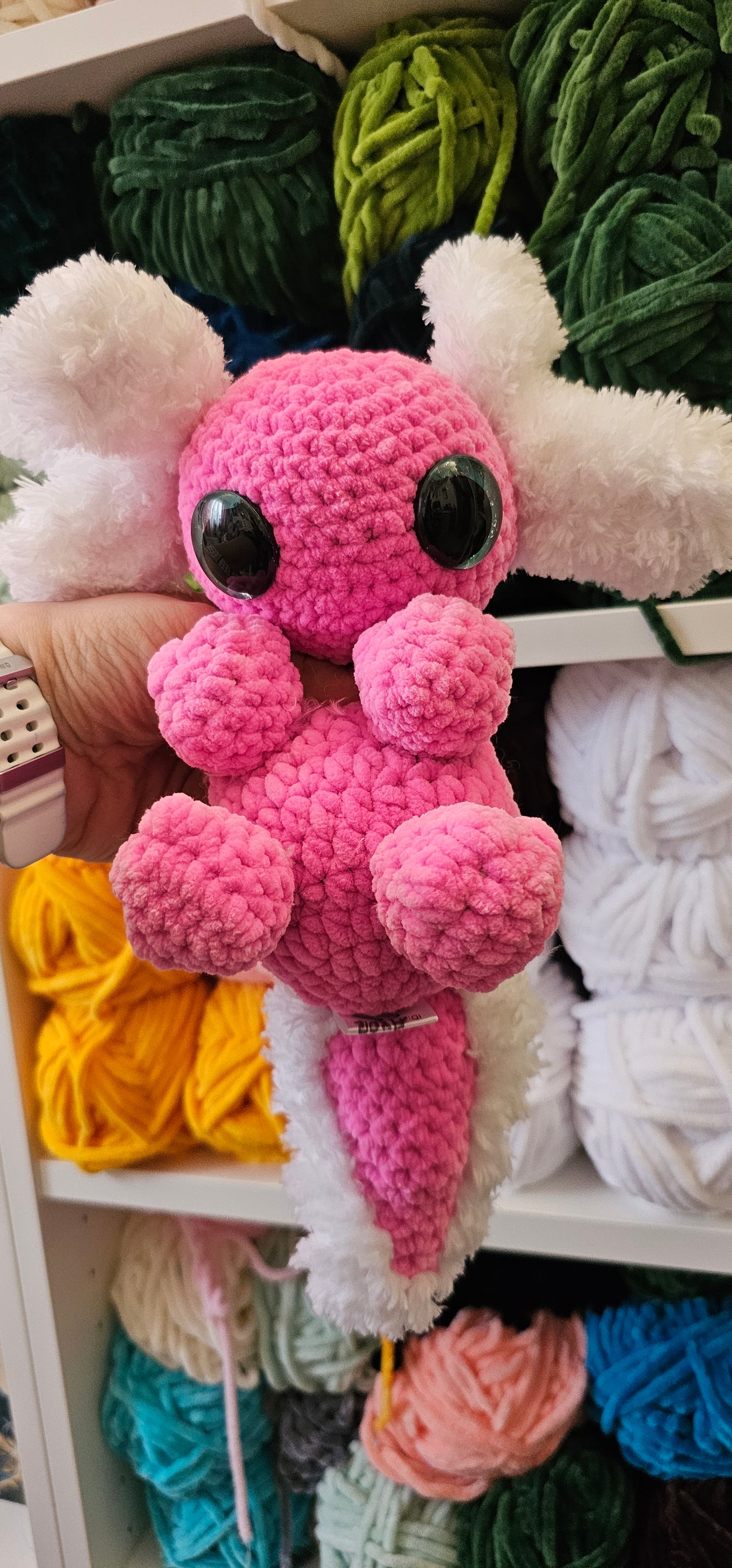 Axolotl
