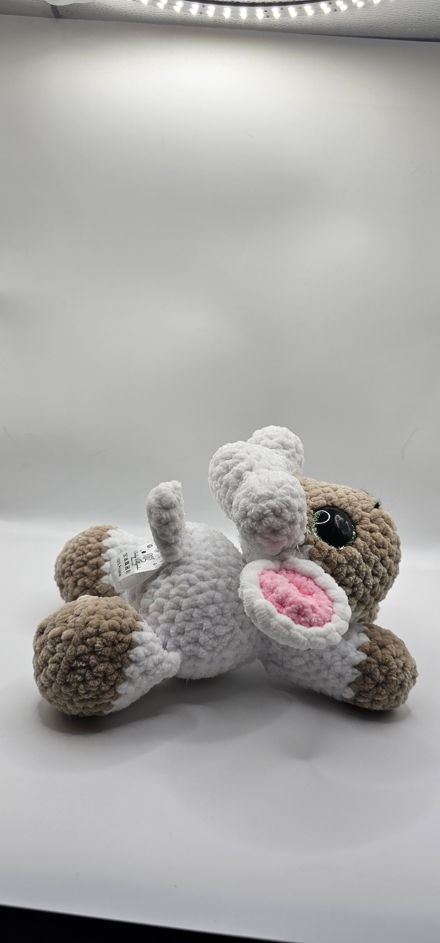 Susi Schaf 🐑